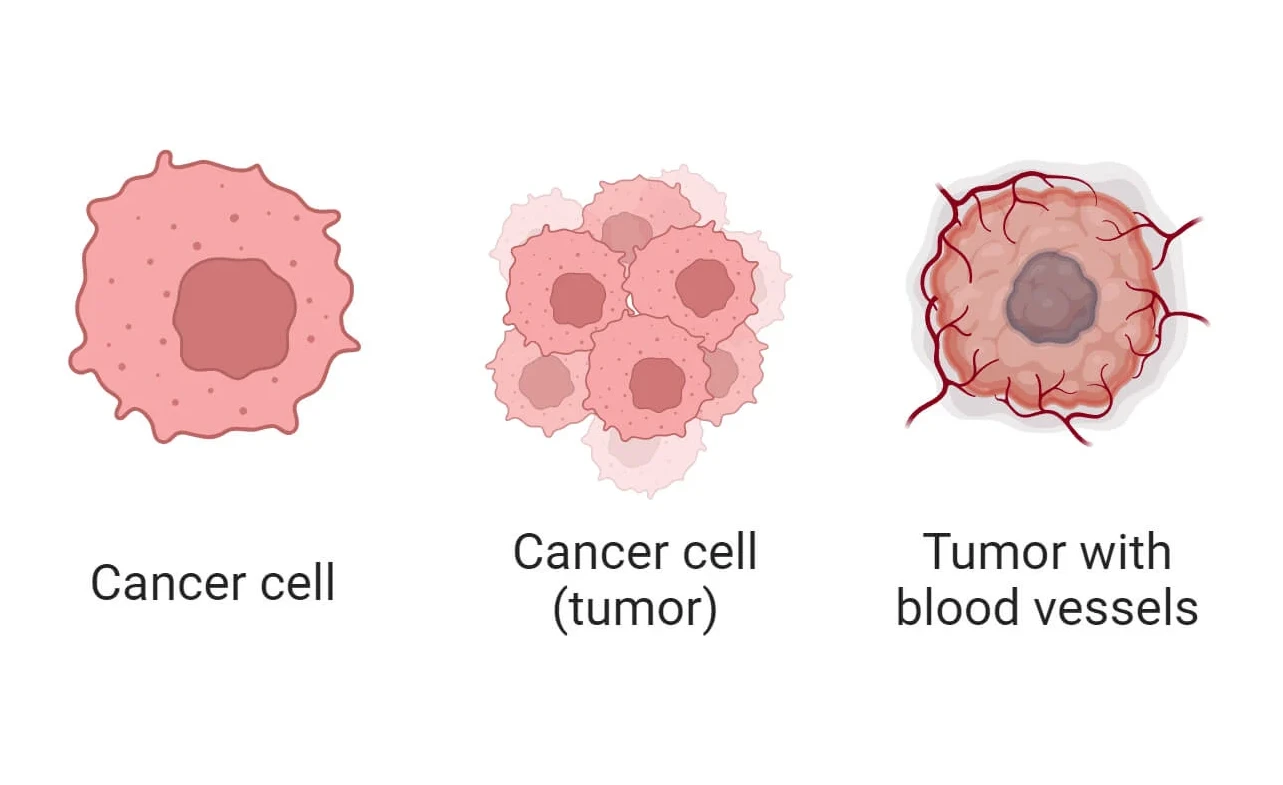 describe 3 reasons why cells can form tumors